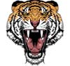 Animal Collection